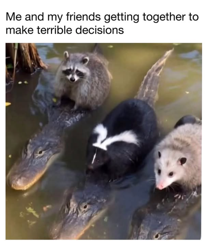 Me and my friends getting together to make terrible decisions