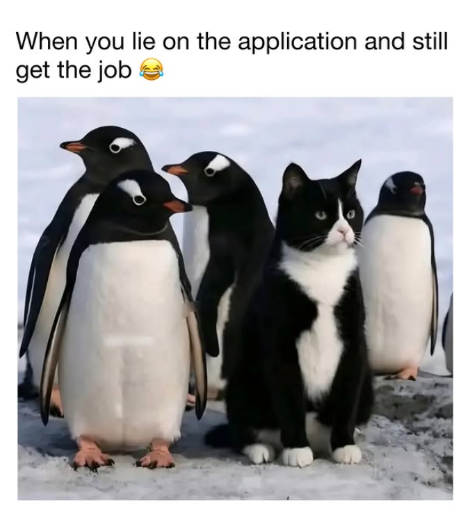 When you lie on the application and still get the job