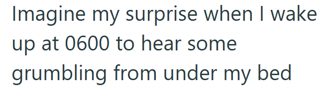 Imagine my surprise when I wake up at 0600 to hear some grumbling from under my bed
