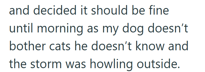and decided it should be fine until morning as my dog doesn't bother cats he doesn't know and the storm was howling outside.