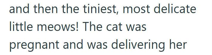 and then the tiniest, most delicate little meows! The cat was pregnant and was delivering her