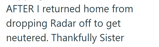 AFTER I returned home from dropping Radar off to get neutered. Thankfully Sister