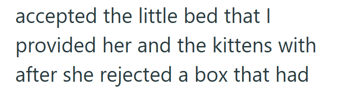 accepted the little bed that I provided her and the kittens with after she rejected a box that had