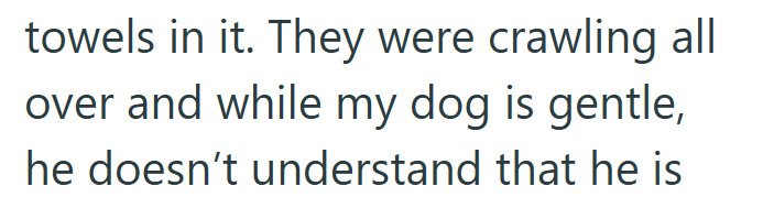 towels in it. They were crawling all over and while my dog is gentle, he doesn't understand that he is