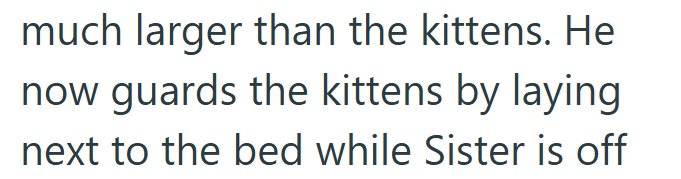 much larger than the kittens. He now guards the kittens by laying next to the bed while Sister is off