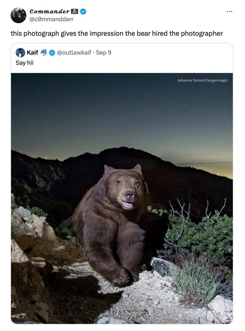 Commander @commandderr this photograph gives the impression the bear hired the photographer Kaif Say hii @outlawkaif Sep 9 Johanna Turner/Cougarmagic
