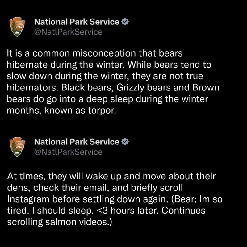 SERVICE National Park Service @NatlParkService It is a common misconception that bears hibernate during the winter. While bears tend to slow down during the winter, they are not true hibernators. Black bears, Grizzly bears and Brown bears do go into a deep sleep during the winter months, known as torpor. National Park Service @NatlParkService At times, they will wake up and move about their dens, check their email, and briefly scroll Instagram before settling down again. (Bear: Im so tired. I sh