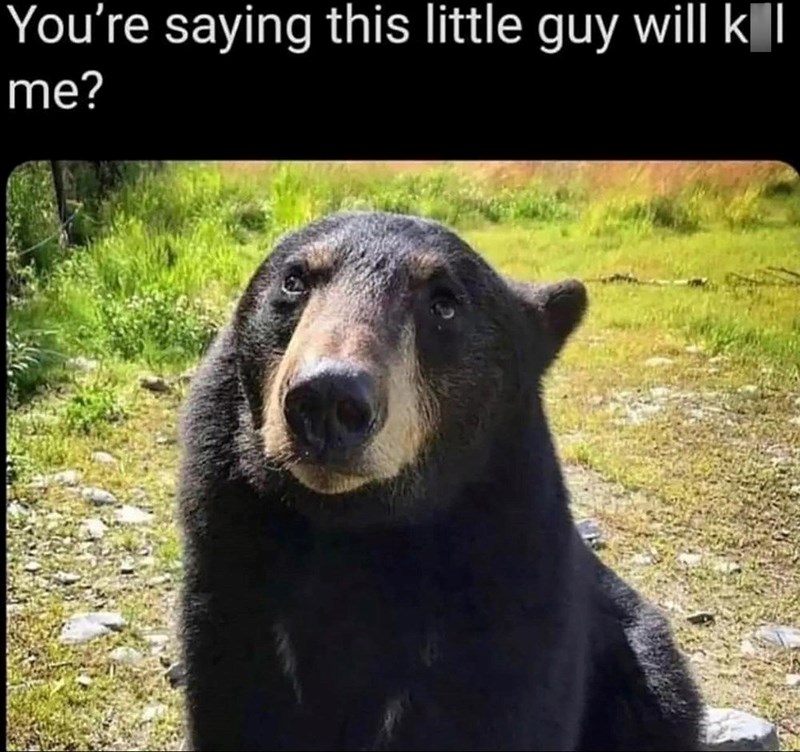 You're saying this little guy will k | me?