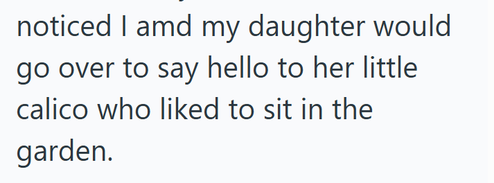 noticed I amd my daughter would go over to say hello to her little calico who liked to sit in the garden.