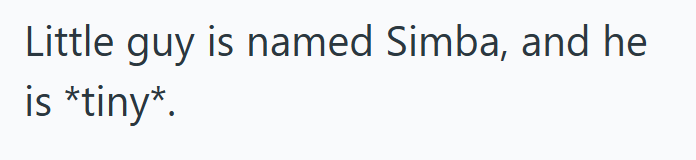 Little guy is named Simba, and he is *tiny*.