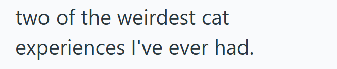 two of the weirdest cat experiences I've ever had.