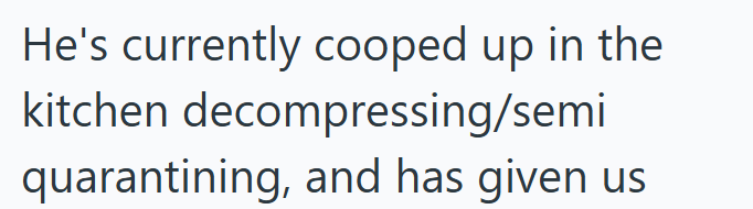 He's currently cooped up in the kitchen decompressing/semi quarantining, and has given us