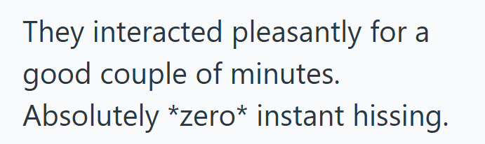 They interacted pleasantly for a good couple of minutes. Absolutely *zero* instant hissing.