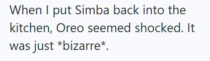 When I put Simba back into the kitchen, Oreo seemed shocked. It was just *bizarre*.