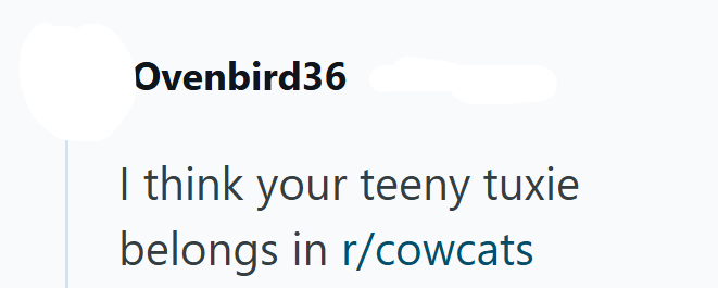 Ovenbird36 I think your teeny tuxie belongs in r/cowcats