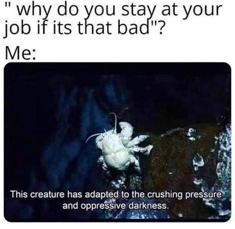 "why do you stay at your job if its that bad"? Me: This creature has adapted to the crushing pressure and oppressive darkness.
