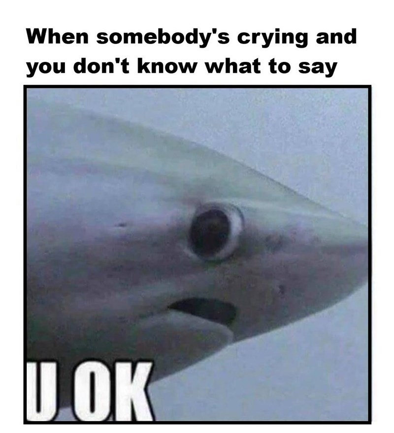 When somebody's crying and you don't know what to say U OK