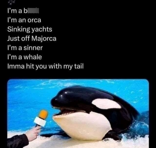 I'm a b I'm an orca Sinking yachts Just off Majorca I'm a sinner I'm a whale Imma hit you with my tail