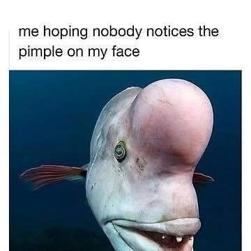 me hoping nobody notices the pimple on my face