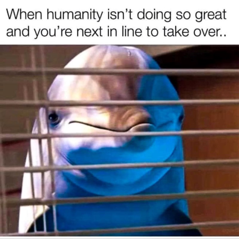 When humanity isn't doing so great and you're next in line to take over..