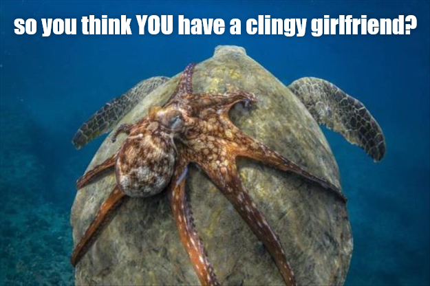 so you think YOU have a clingy girlfriend?