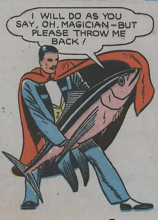 I WILL DO AS YOU SAY, OH, MAGICIAN-BUT PLEASE THROW ME BACK!