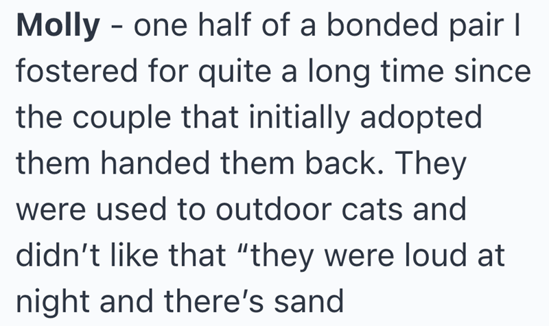 Molly - one half of a bonded pair I fostered for quite a long time since the couple that initially adopted them handed them back. They were used to outdoor cats and didn't like that "they were loud at night and there's sand
