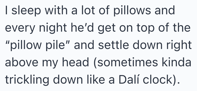 I sleep with a lot of pillows and every night he'd get on top of the "pillow pile" and settle down right above my head (sometimes kinda trickling down like a Dalí clock).