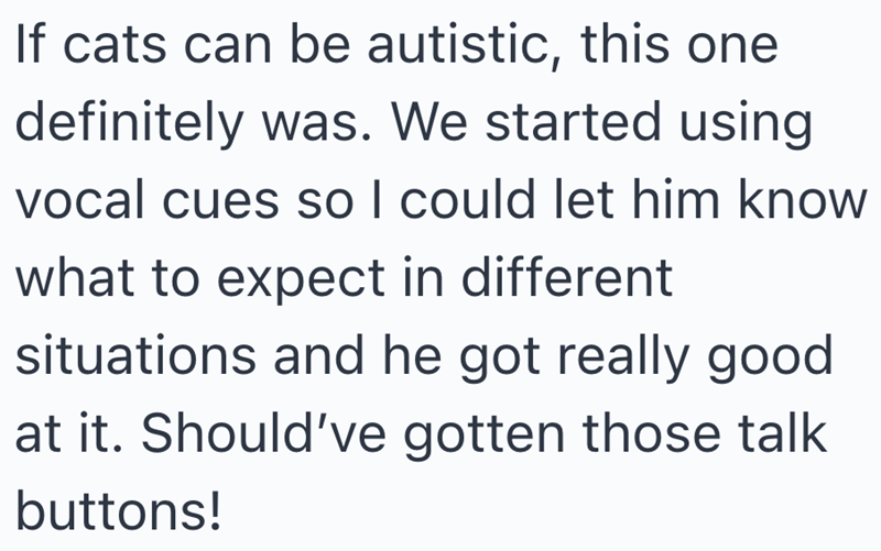 If cats can be autistic, this one definitely was. We started using vocal cues so I could let him know what to expect in different situations and he got really good at it. Should've gotten those talk buttons!