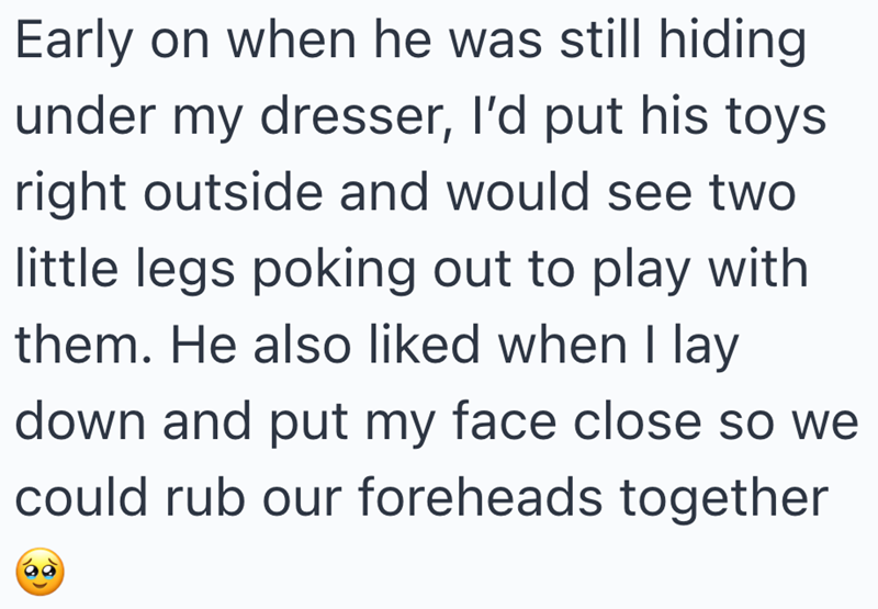 Early on when he was still hiding under my dresser, I'd put his toys right outside and would see two little legs poking out to play with them. He also liked when I lay down and put my face close so we could rub our foreheads together 60