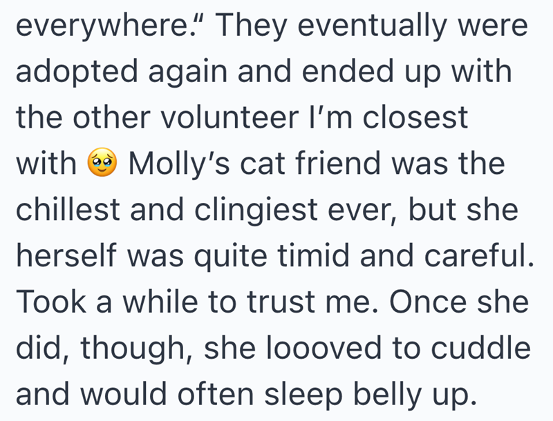 everywhere." They eventually were adopted again and ended up with the other volunteer I'm closest with Molly's cat friend was the chillest and clingiest ever, but she herself was quite timid and careful. Took a while to trust me. Once she did, though, she loooved to cuddle and would often sleep belly up.
