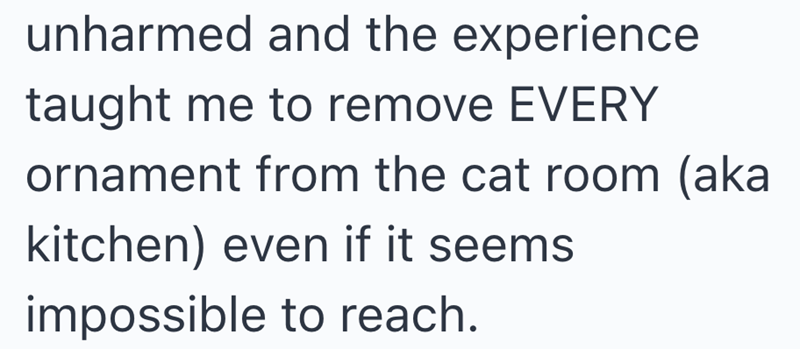 unharmed and the experience taught me to remove EVERY ornament from the cat room (aka kitchen) even if it seems impossible to reach.
