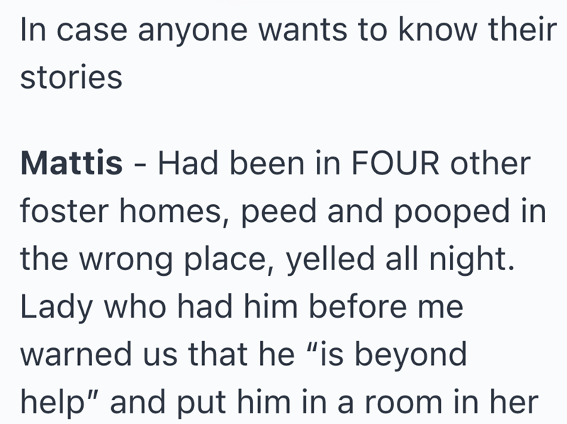 In case anyone wants to know their stories Mattis - Had been in FOUR other foster homes, peed and pooped in the wrong place, yelled all night. Lady who had him before me warned us that he "is beyond help" and put him in a room in her