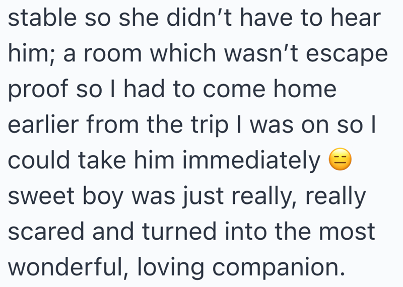 stable so she didn't have to hear him; a room which wasn't escape proof so I had to come home earlier from the trip I was on so I could take him immediately sweet boy was just really, really scared and turned into the most wonderful, loving companion.