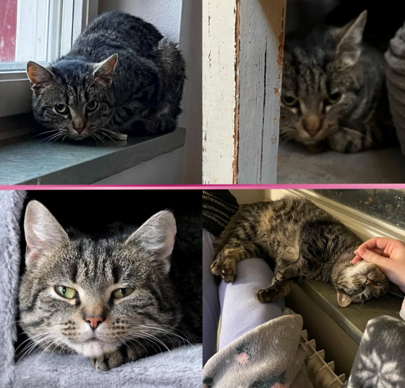 Cheezburger Image 10625477888