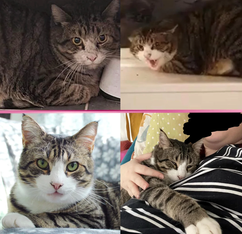 Cheezburger Image 10625478400