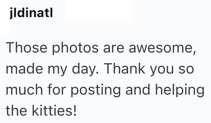 jldinatl Those photos are awesome, made my day. Thank you so much for posting and helping the kitties!
