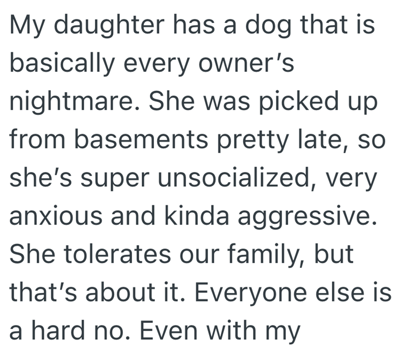 My daughter has a dog that is basically every owner's nightmare. She was picked up from basements pretty late, so she's super unsocialized, very anxious and kinda aggressive. She tolerates our family, but that's about it. Everyone else is a hard no. Even with my