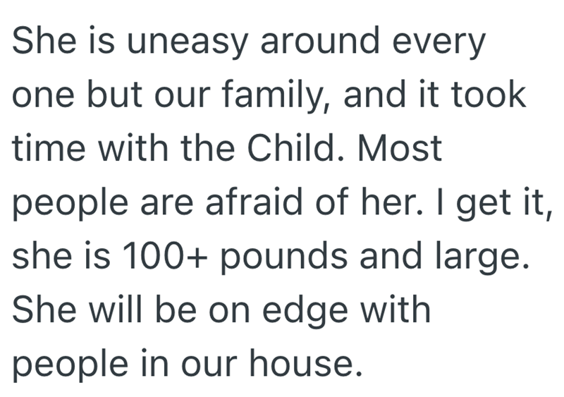 She is uneasy around every one but our family, and it took time with the Child. Most people are afraid of her. I get it, she is 100+ pounds and large. She will be on edge with people in our house.