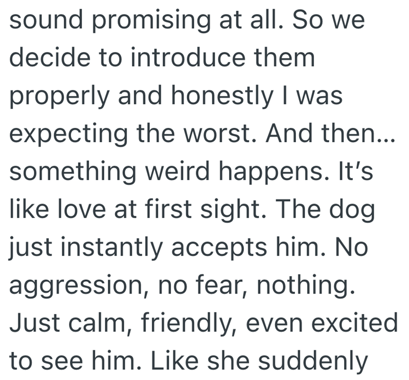 sound promising at all. So we decide to introduce them properly and honestly I was expecting the worst. And then... something weird happens. It's like love at first sight. The dog just instantly accepts him. No aggression, no fear, nothing. Just calm, friendly, even excited to see him. Like she suddenly