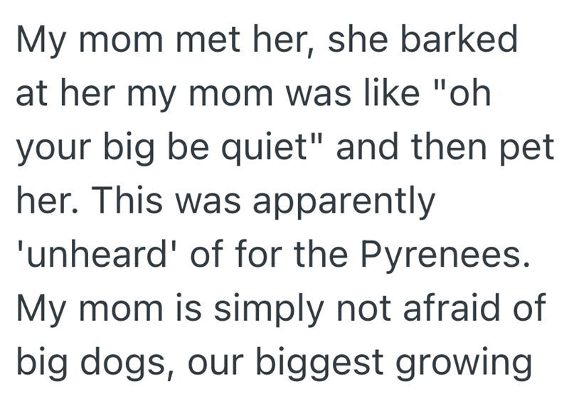 My mom met her, she barked at her my mom was like "oh your big be quiet" and then pet her. This was apparently 'unheard' of for the Pyrenees. My mom is simply not afraid of big dogs, our biggest growing