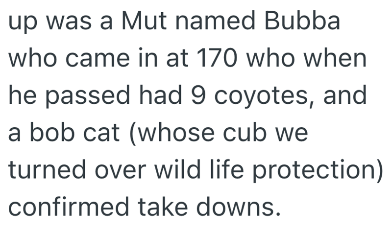 up was a Mut named Bubba who came in at 170 who when he passed had 9 coyotes, and a bob cat (whose cub we turned over wild life protection) confirmed take downs.