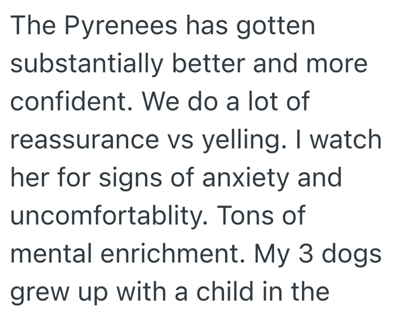 The Pyrenees has gotten substantially better and more confident. We do a lot of reassurance vs yelling. I watch her for signs of anxiety and uncomfortablity. Tons of mental enrichment. My 3 dogs grew up with a child in the