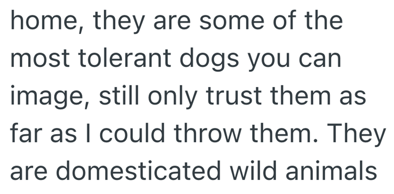 home, they are some of the most tolerant dogs you can image, still only trust them as far as I could throw them. They are domesticated wild animals