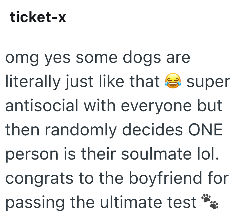 ticket-x omg yes some dogs are super literally just like that antisocial with everyone but then randomly decides ONE person is their soulmate lol. congrats to the boyfriend for passing the ultimate test