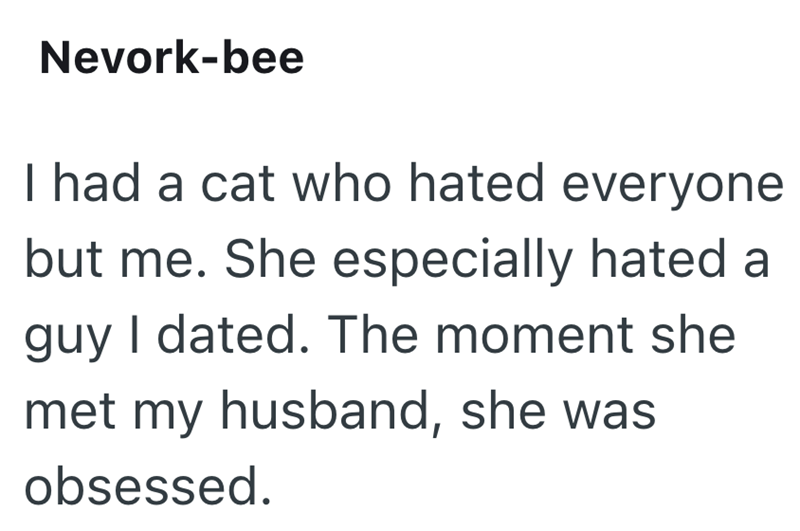 Nevork-bee I had a cat who hated everyone but me. She especially hated a guy I dated. The moment she met my husband, she was obsessed.
