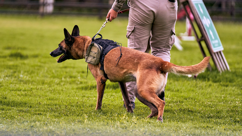 Cheezburger Image 10625498368