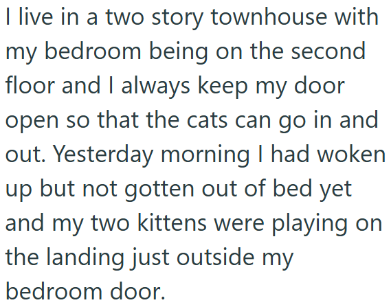 I live in a two story townhouse with my bedroom being on the second floor and I always keep my door open so that the cats can go in and out. Yesterday morning I had woken up but not gotten out of bed yet and my two kittens were playing on the landing just outside my bedroom door.