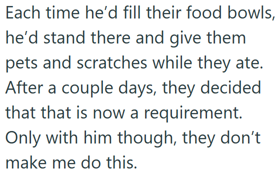 Each time he'd fill their food bowls, he'd stand there and give them pets and scratches while they ate. After a couple days, they decided that that is now a requirement. Only with him though, they don't make me do this.