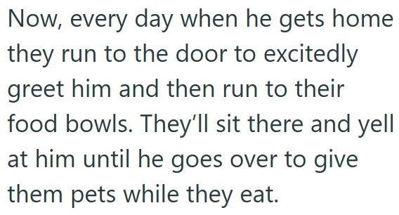 Now, every day when he gets home they run to the door to excitedly greet him and then run to their food bowls. They'll sit there and yell at him until he goes over to give them pets while they eat.
